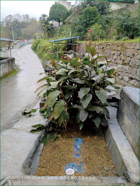 厌氧+人工湿地模块案例2.png