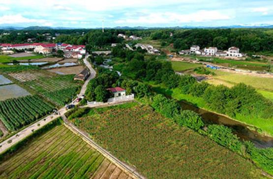 农村污水治理企业哪家好？虽然农村污水行业市场空间大，但是相对于城市污水处理厂，农村污水治理对水务企业的吸引力偏弱。相比城市，农村污水处理市场更分散，专业人员少，对运维的要求更直接、迫切。